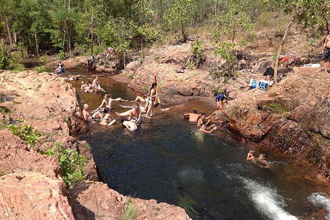 Litchfield National Park And Jumping Crocodile Cruise - Coogee Beach Accommodation 5