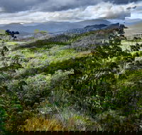 3-Day Tour to the Falls Mountains Lake  More of West Coast Tasmania - Coogee Beach Accommodation