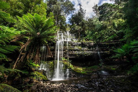 3-Day Tour To The Falls, Mountains, Lake & More Of West Coast Tasmania - Coogee Beach Accommodation 4