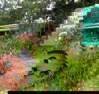 Port Arthur Richmond and Tasman Peninsula Day Trip from Hobart - Coogee Beach Accommodation