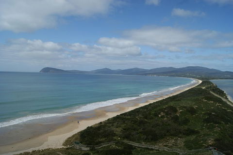 Bruny Island Day Trip From Hobart - Coogee Beach Accommodation 0