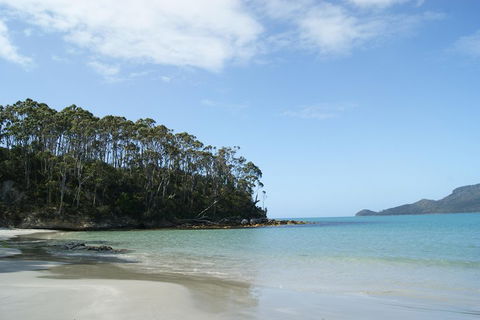Bruny Island Day Trip From Hobart - Coogee Beach Accommodation 1