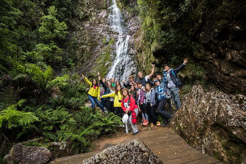 5-Day Lap Of Tasmania Tour From Hobart (flexible Ticket) - Coogee Beach Accommodation 0