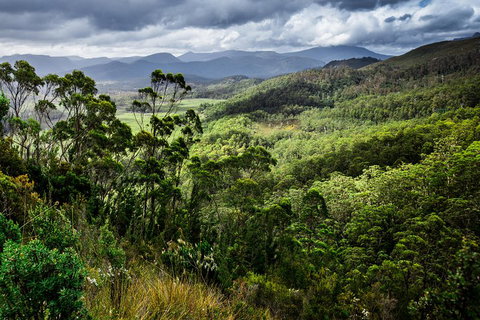 5-Day Lap Of Tasmania Tour From Hobart (flexible Ticket) - Coogee Beach Accommodation 2
