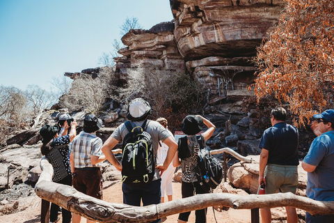 Kakadu Full-Day Tour From Darwin With Lunch - Coogee Beach Accommodation 1