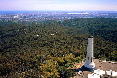 Adelaide Shore Excursion: Adelaide City Tour By Private Limo - Coogee Beach Accommodation 3