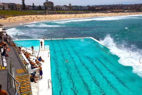 Private Sydney Half Day Tour Including Sydney Opera House And Bondi Beach - Coogee Beach Accommodation 1