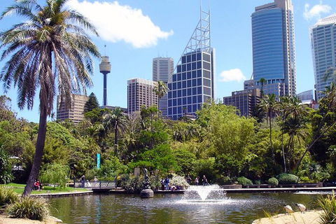 Private Sydney Half Day Tour Including Sydney Opera House And Bondi Beach - Coogee Beach Accommodation 4