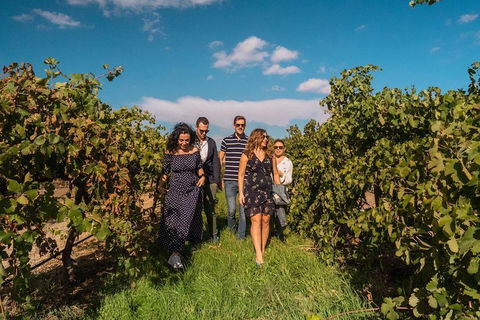 Barossa Valley Private Tour (from 2 To 11 People) - Coogee Beach Accommodation 0
