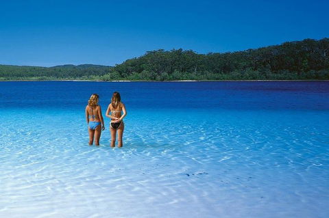 Fraser Island 4WD Tour From Noosa - Coogee Beach Accommodation 2