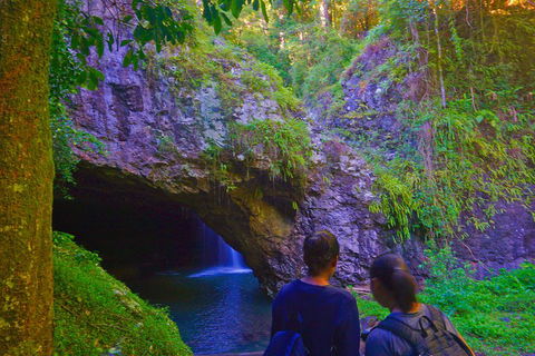 Natural Arch, Rainforest & Volcano Canyon - Private Half Day Tour - Coogee Beach Accommodation 4