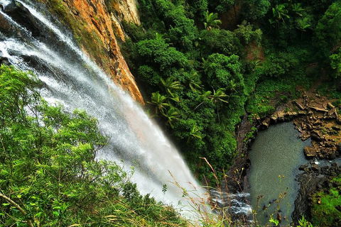 Natural Arch, Rainforest & Volcano Canyon - Private Half Day Tour - Coogee Beach Accommodation 5