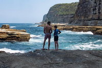 Book Viator Accommodation Vacations Coogee Beach Accommodation Coogee Beach Accommodation
