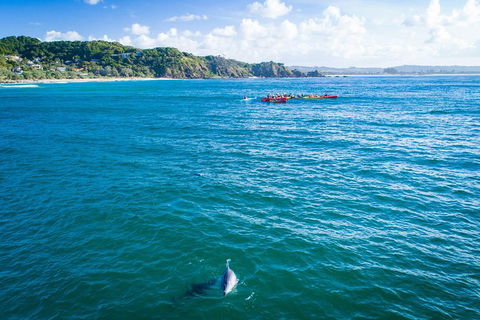 The Byron Bay Sea Kayak Tour - Coogee Beach Accommodation 2