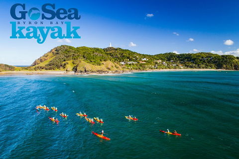 The Byron Bay Sea Kayak Tour - Coogee Beach Accommodation 3