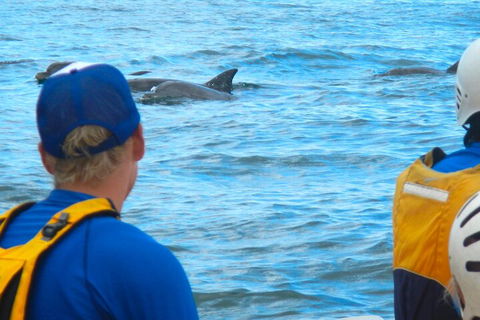 The Byron Bay Sea Kayak Tour - Coogee Beach Accommodation 4