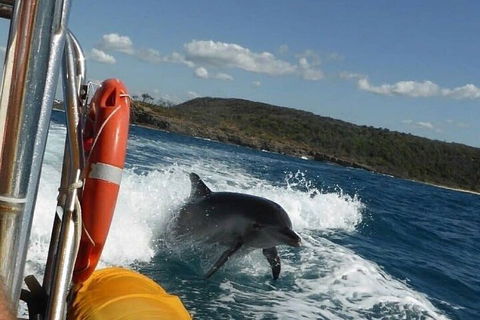 Noosa Oceanrider - Adventure Tour - Coogee Beach Accommodation 1