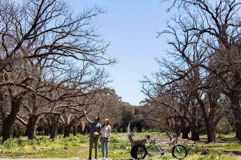 Adelaide 90-Minute Pedicab Tour: Scenic Green & River Experience - Coogee Beach Accommodation 1