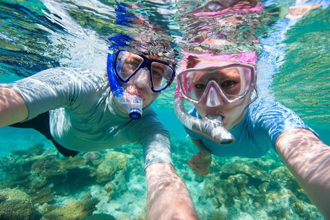 Whitehaven Beach And Hill Inlet Lookout Full-Day Snorkeling Cruise By High-Speed Catamaran - Coogee Beach Accommodation 2