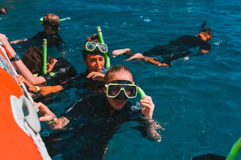 Whitehaven Beach And Hill Inlet Lookout Full-Day Snorkeling Cruise By High-Speed Catamaran - Coogee Beach Accommodation 3