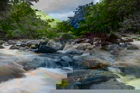 Cape Tribulation Day Tour, Cairns