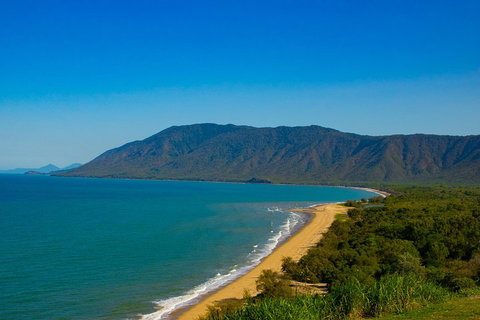 Cape Tribulation Day Tour - Coogee Beach Accommodation 1