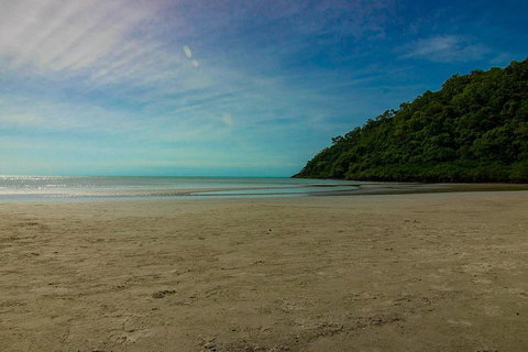 Cape Tribulation Day Tour - Coogee Beach Accommodation 2