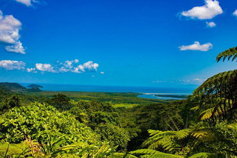 Cape Tribulation Day Tour - Coogee Beach Accommodation 3