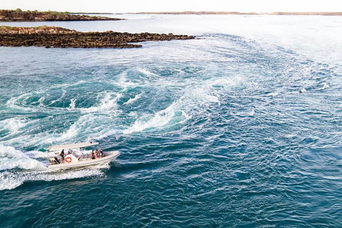 Giant Tides Tour - Cygnet Bay Pearl Farm - Coogee Beach Accommodation 4