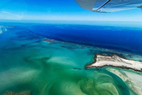 Wet Season Incredible Islands Tour - Horizontal Falls & Cygnet Bay Pearl Farm - Coogee Beach Accommodation 4