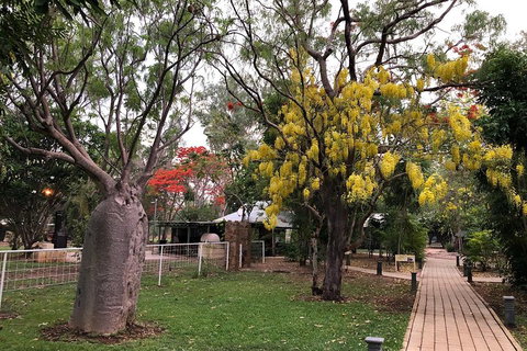 Wet Season Mitchell Falls Tour - Mitchell Falls, Horizontal Falls & Cygnet Bay - Coogee Beach Accommodation 1