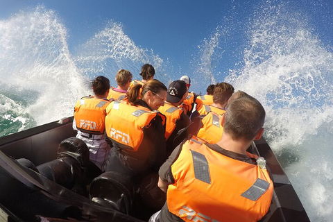 Noosa Thriller - 500hp Ocean Adventure Ride - Coogee Beach Accommodation 4
