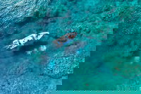 Book Viator Accommodation Vacations Coogee Beach Accommodation Coogee Beach Accommodation