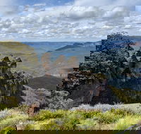 Blue Mountains Private Tour - wild kangaroos waterfalls and The Three Sisters - Coogee Beach Accommodation