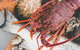 Deep-to-Dish: Tasmanian Seafood Experience - thumb 2