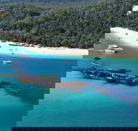 All Inclusive Tangalooma Wrecks Cruise Tour From Gold Coast - Coogee Beach Accommodation