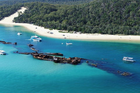 All Inclusive Tangalooma Wrecks Cruise Tour From Gold Coast - Coogee Beach Accommodation 0