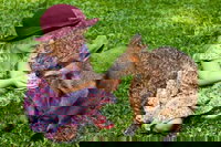 Kuranda Day Tour  HotAir Balloon Combo, Cairns