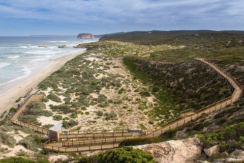 Kangaroo Island Personal Group Tours - Coogee Beach Accommodation 1