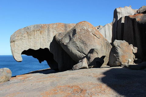 Kangaroo Island Personal Group Tours - Coogee Beach Accommodation 2
