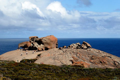 Kangaroo Island Personal Group Tours - Coogee Beach Accommodation 5