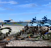 Adelaide City to Sea Bike Tour - Coogee Beach Accommodation