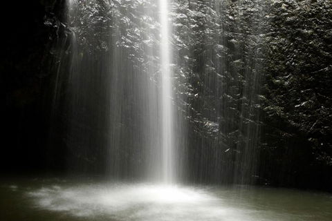 Natural Bridge Glow Worm Night Tour From Gold Coast - Coogee Beach Accommodation 2