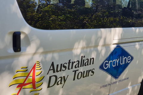 Natural Bridge Glow Worm Night Tour From Gold Coast - Coogee Beach Accommodation 5