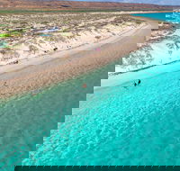 Ningaloo in a Day - Full Day Hike and Snorkel Tour with Lunch - Coogee Beach Accommodation