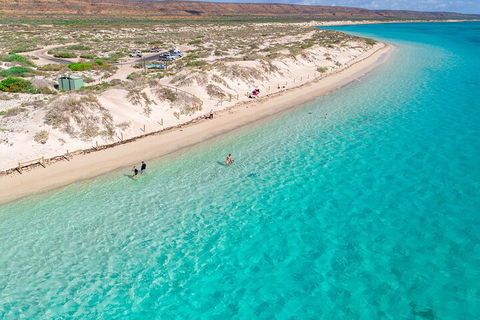 Ningaloo In A Day - Full Day Hike And Snorkel Tour With Lunch - Coogee Beach Accommodation 0