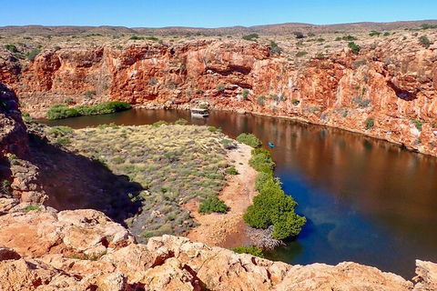 Ningaloo In A Day - Full Day Hike And Snorkel Tour With Lunch - Coogee Beach Accommodation 2