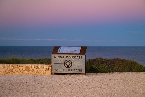 Ningaloo In A Day - Full Day Hike And Snorkel Tour With Lunch - Coogee Beach Accommodation 5