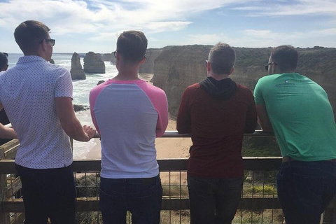 LGBT+ Friendly 3 Day Private Tour Great Ocean Road & Phillip Island - Coogee Beach Accommodation 3