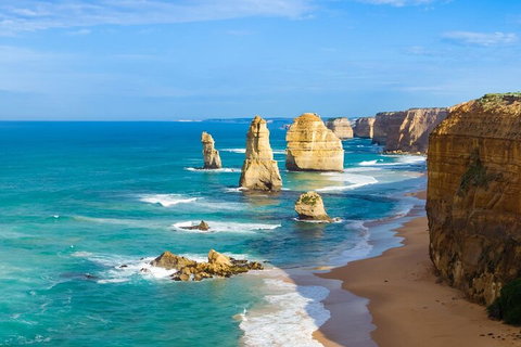 LGBT+ Friendly 3 Day Private Tour Great Ocean Road & Phillip Island - Coogee Beach Accommodation 4